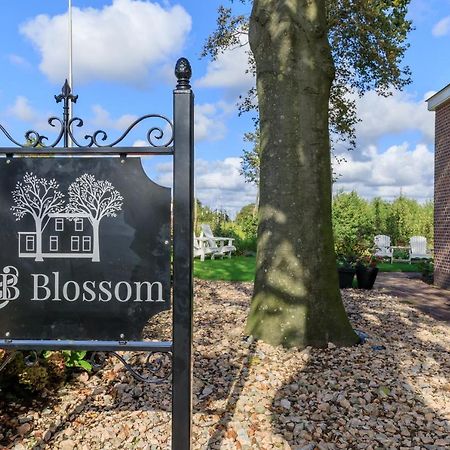 ליסא B&B Blossom מראה חיצוני תמונה