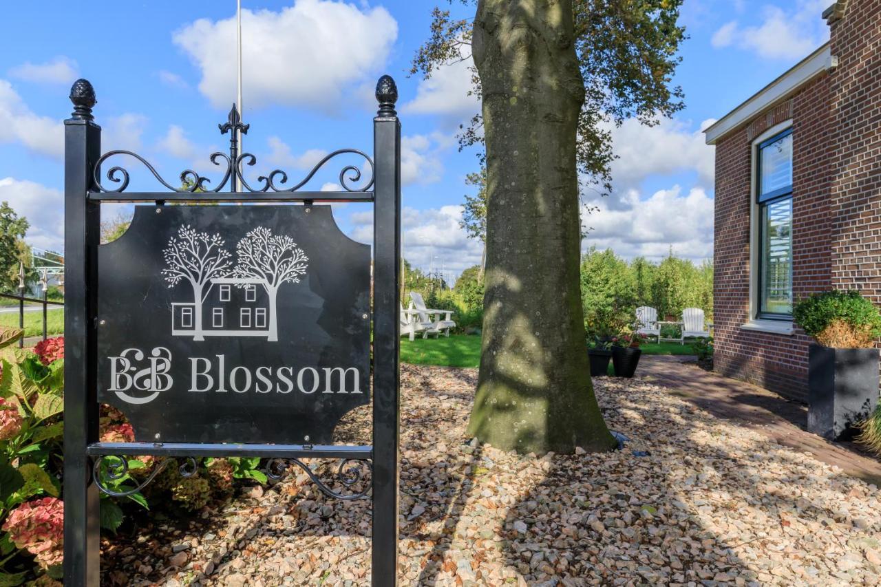 ליסא B&B Blossom מראה חיצוני תמונה