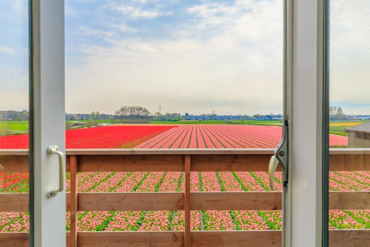 ליסא B&B Blossom מראה חיצוני תמונה