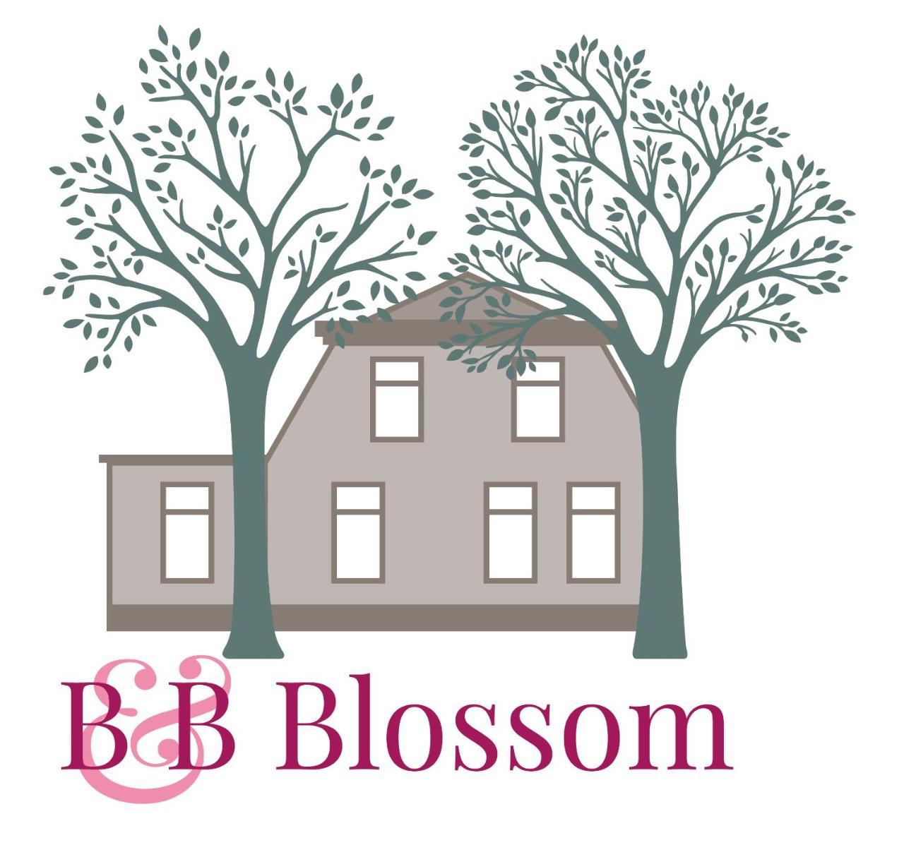 ליסא B&B Blossom מראה חיצוני תמונה